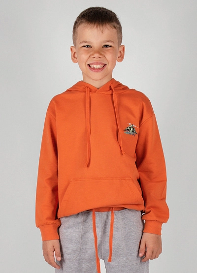 SPORT толстовка Thomas Graf фото № 3 недорого