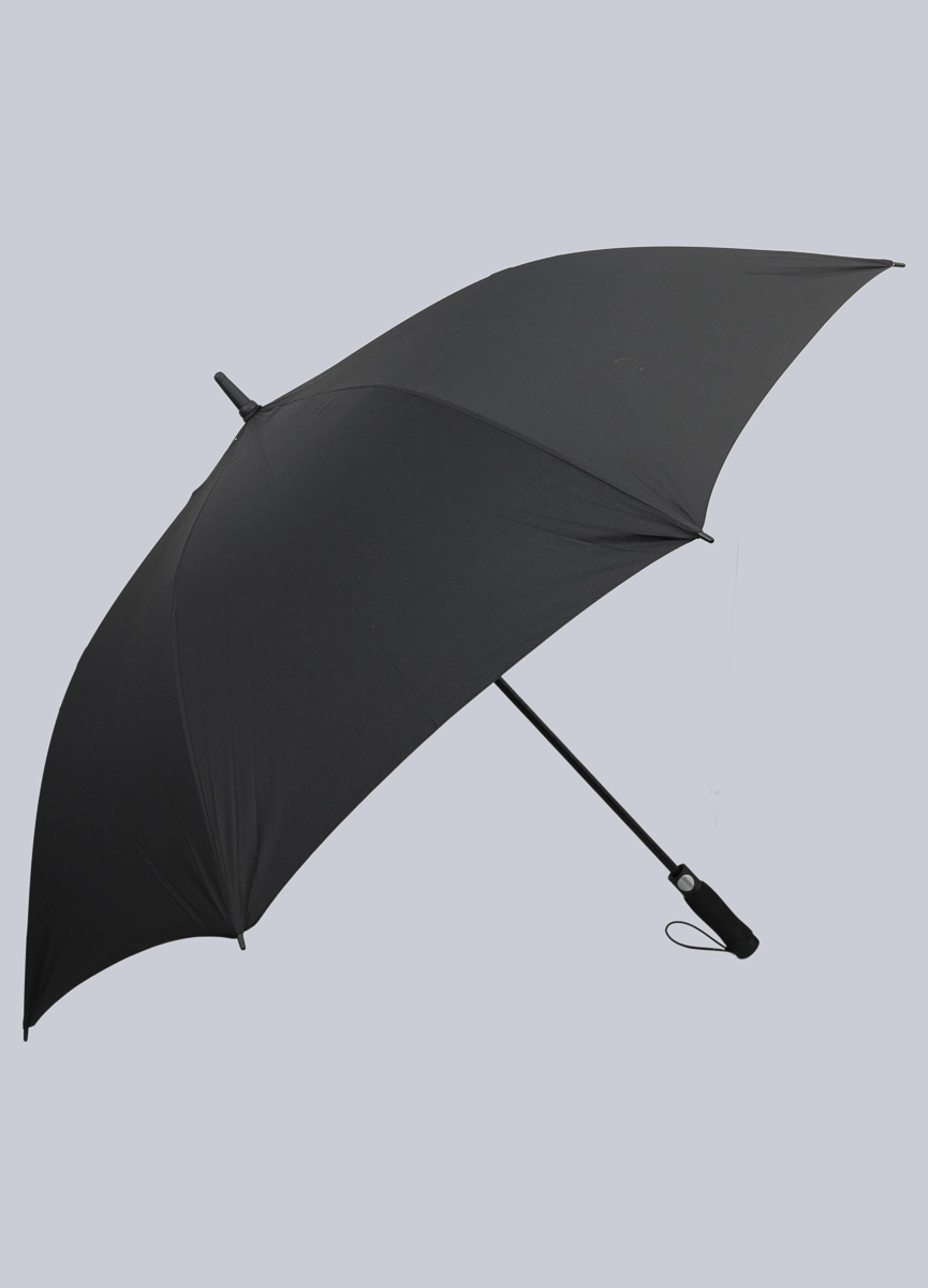 картинка қолшатыр/зонт BB Accessories Интернет магазин Kimex + мужское + аксессуары + зонт