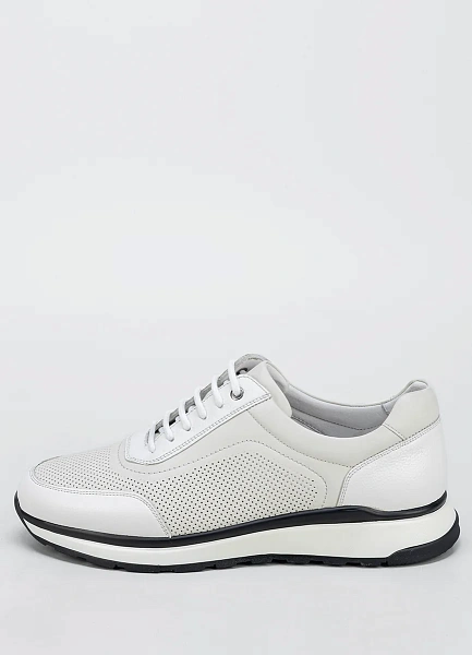 Кроссовки Duca Daretti фото № 1 интернет-магазин